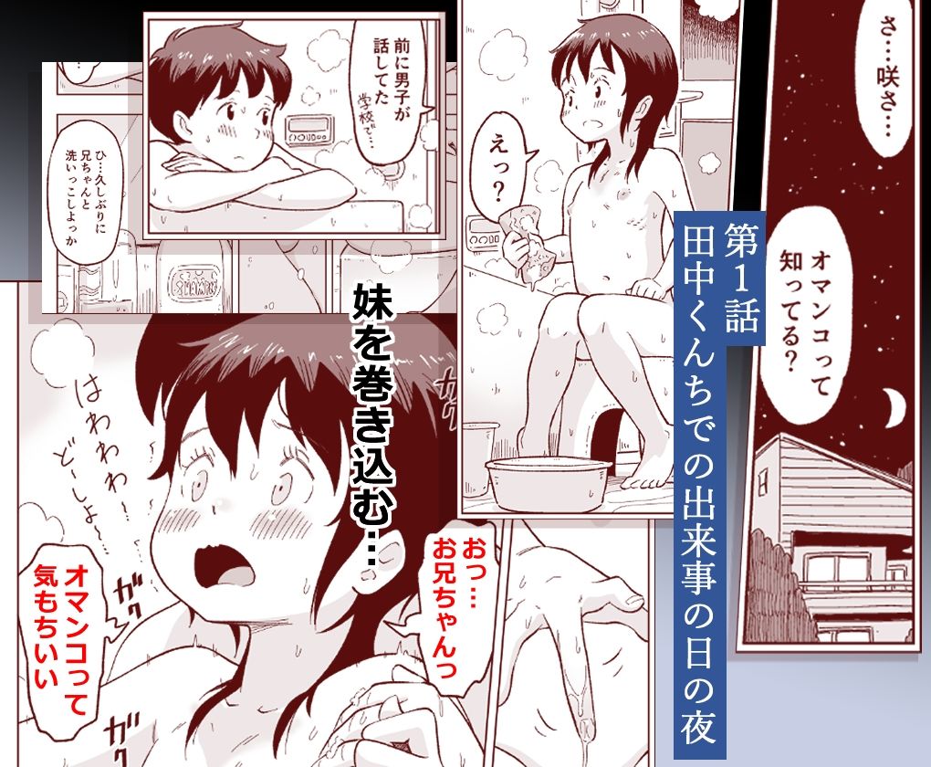 僕たちが田中くんちでセックスを知ってしまったその後のこと。 サンプル画像3