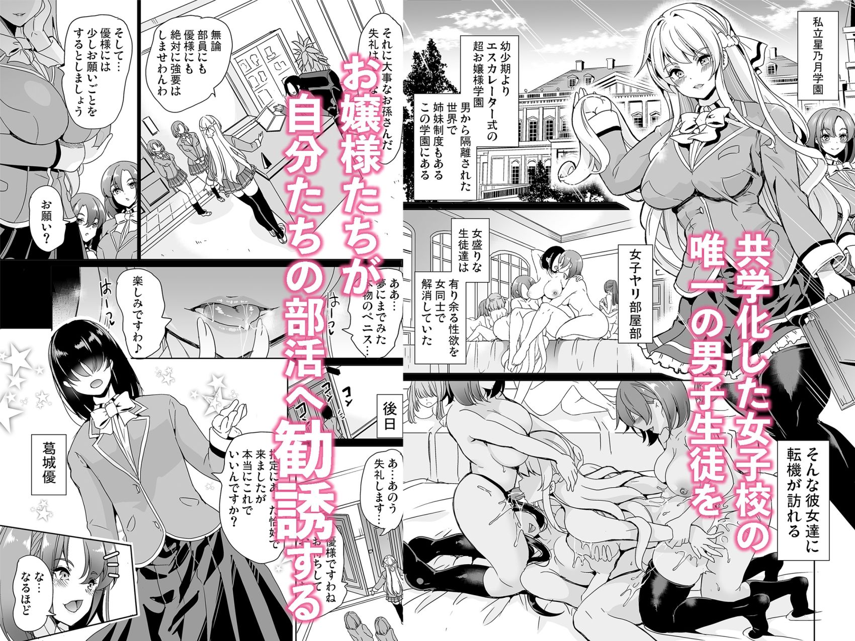 女子ヤリ部屋部の男根 〜痴女ハーレム〜 総集編 サンプル画像2